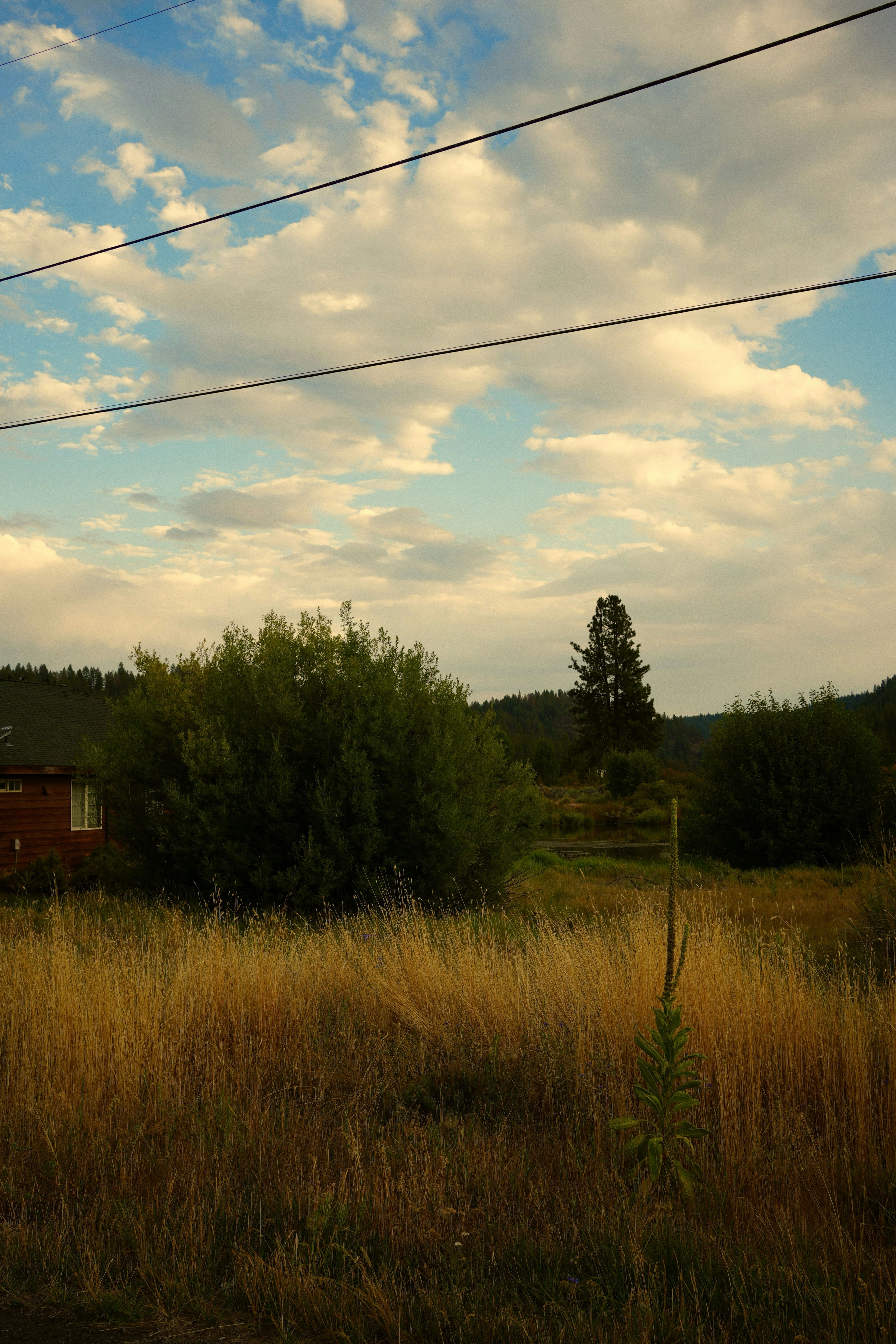 Photo photo29